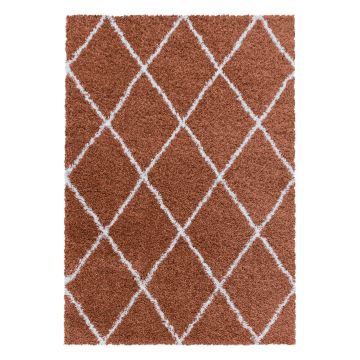 Alvor Shaggy teppich hochflor rechteckig 60x110cm terra