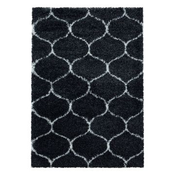Salsa Shaggy teppich hochflor rechteckig 140x200cm anthrazit