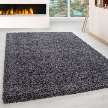 Life Shaggy teppich hochflor rechteckig 300x400cm grau