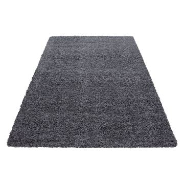 Dream Shaggy teppich hochflor rechteckig 65x130cm grau